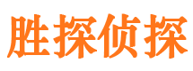 阳西侦探公司